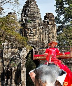 Elefant in Angkor Wat, Südtor - Bildtankstelle.de