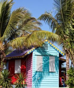 Colors of Bahamas - Bildtankstelle.de