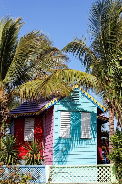 Colors of Bahamas - Bildtankstelle.de