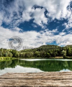 ein warmer Sommertag am Waldsee - Bildtankstelle.de