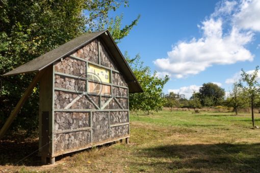 Insektenhotel am Litermont Wanderweg, Nähe Nalbach, Saarland - Bildtankstelle.de