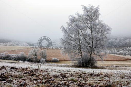 winterliche Felder, Saarland - Bildtankstelle.de