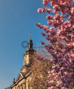 Basilika Saarbrücken im Frühling - Bildtankstelle.de - Bilddatenbank für Foto-Motive aus SAAR-LOR-LUX