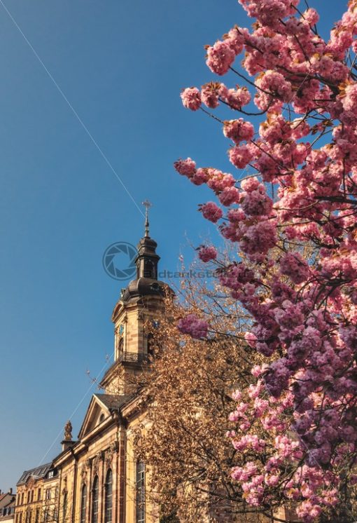 Basilika Saarbrücken im Frühling - Bildtankstelle.de - Bilddatenbank für Foto-Motive aus SAAR-LOR-LUX