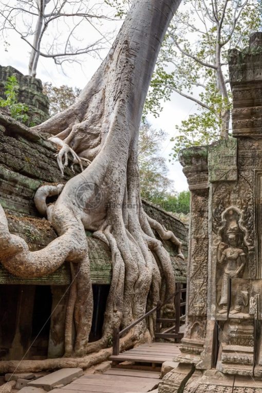 Angkor Wat: Blickfang-Motive für Zuhause, Praxis, Büro, Hotel - Bildtankstelle.de