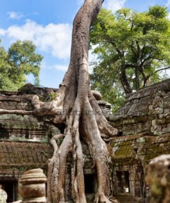 Tempelanlage in Angkor Wat: Blickfang-Motive für Zuhause, Praxis, Büro, Hotel - Bildtankstelle.de