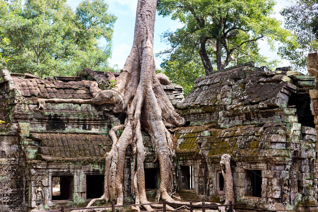 alte Tempelanlage in Angkor Wat: Blickfang-Motive für ...