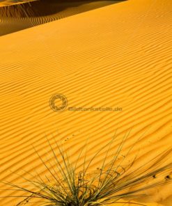 Impressionen aus der Wüste, geniale Formen und Strukturen - Bildtankstelle.de