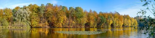 Wald & Wasser, im Herbst eine unwiderstehliche Kombination - Bildtankstelle.de