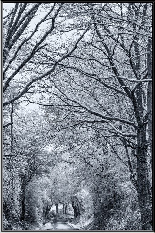 Winterlandschaft In Schwarz Weiss Bildtankstelle De