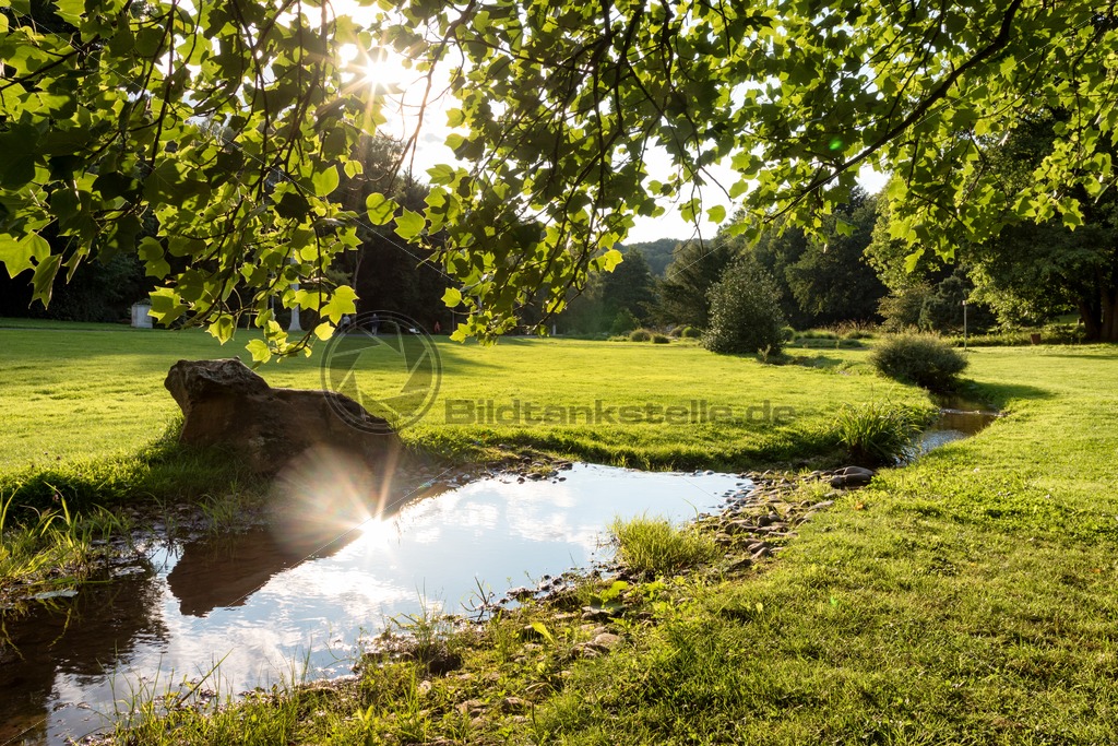 Sommer Im Deutsch Franzosischen Garten Dfg Saarbrucken Saarland