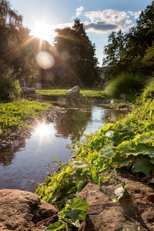 Sommer im Deutsch-Französischen Garten, DFG, Saarbrücken, Saarland - Bildtankstelle.de