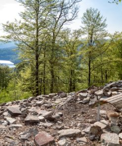 Ringwall von Otzenhausen Bildtankstelle.de