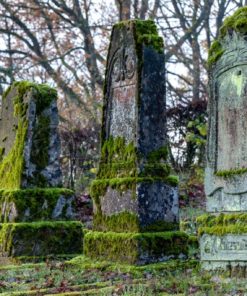 Jüdischer Friedhof Baltersweiler - Bildtankstelle.de